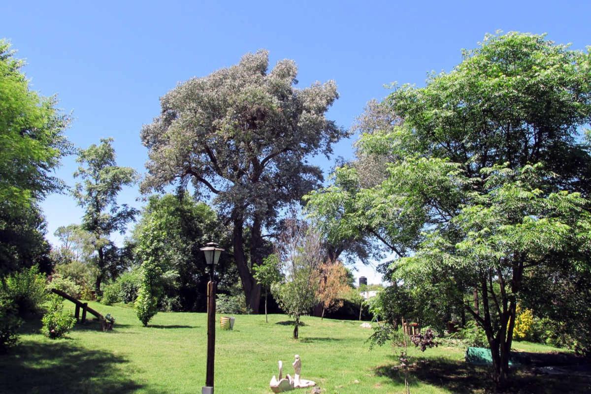 Luna Cautiva Santa Rosa de Calamuchita Bagian luar foto